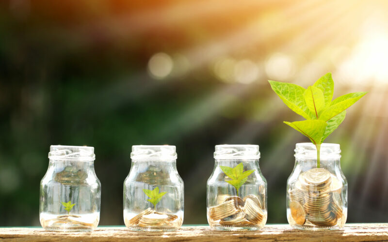 Coin in the bottle and plant growing with savings money put on the wood in the morning sunlight, Business investment and saving growth concept.